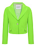 Зеленый пиджак с застежкой на одну пуговицу