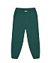 Однотонные зеленые спортивные брюки